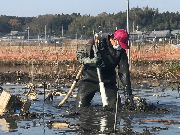 レンコン収穫用手袋 ハッスル No 750 新発売 中部物産貿易株式会社ブログ